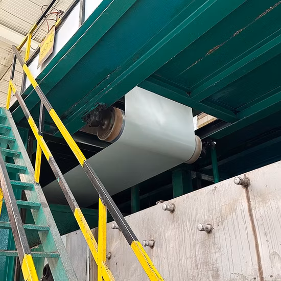 Ral 9003 Pure White Color PPGI Steel Metal Strips for Gypsum Board T Grid False Metal Ceiling / Galvanized Steel Coils / Strip PPGL Steel Coil in Stock